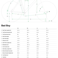 Cannondale X PALACE Skateboard MAD BOY -Cyclocross Verkaufsgeschäft Bad Boy Geo Table 9691 8
